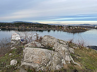 Avinus1_20211106_61869f742e8f6.jpg