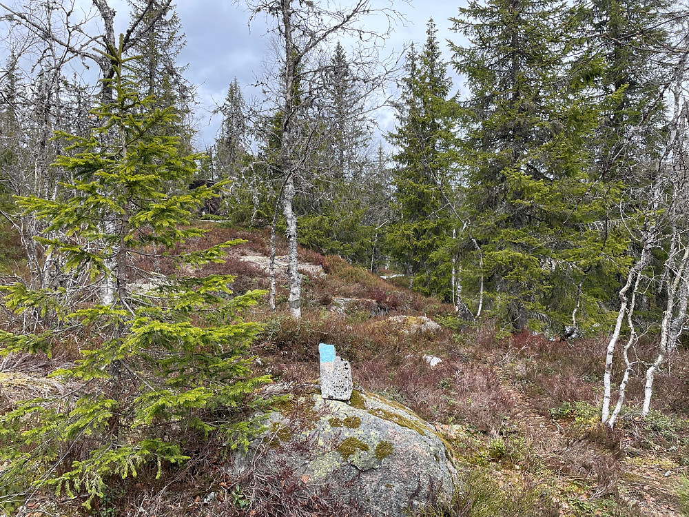 Blåsti