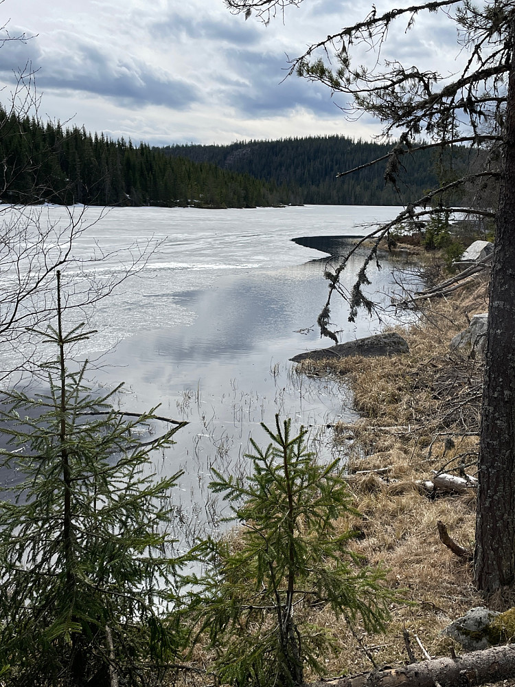 Tverrsjøen