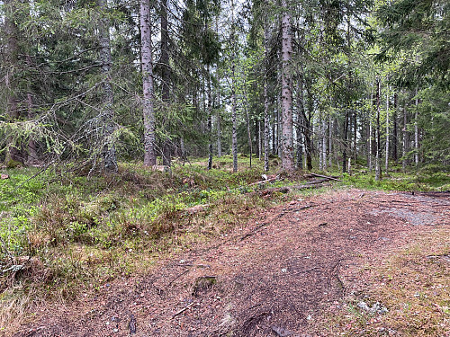 Linderudseterhøgdene