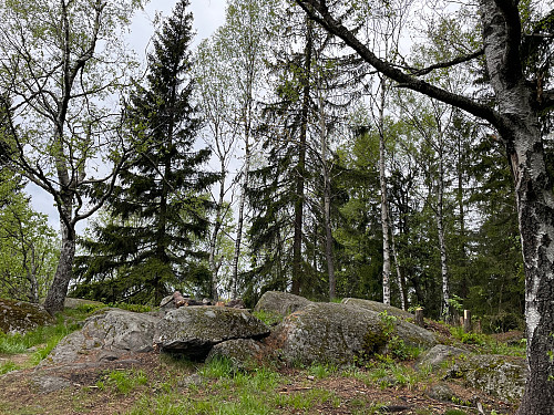 Storhaug