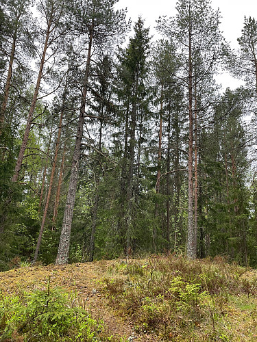 Flaberget