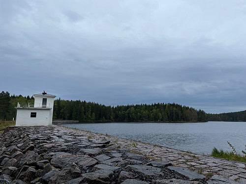 Alnsjøen