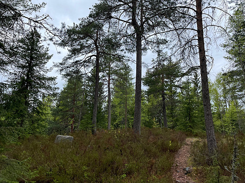 Breidsjøhøgdene