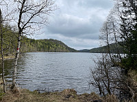 SunnivaR_20220519_62869d35c677c.jpg
