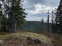 SunnivaR_20220519_62869d38828dc.jpg