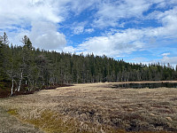 SunnivaR_20220519_62869d3b4c9f1.jpg