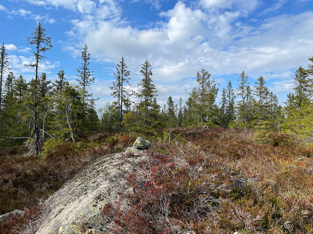 Storrsjøhøgda