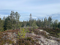 SunnivaR_20220519_62869d3f247a0.jpg