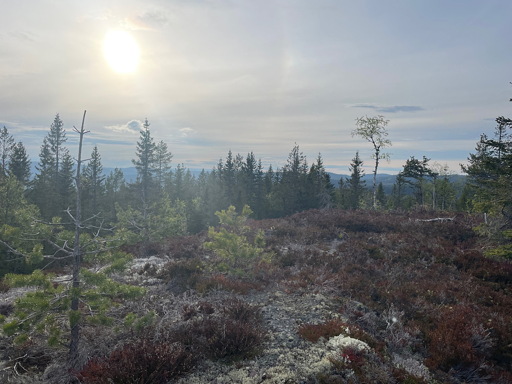 Skotjernhaugen