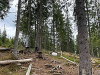 SunnivaR_20220519_62869d40831ae.jpg