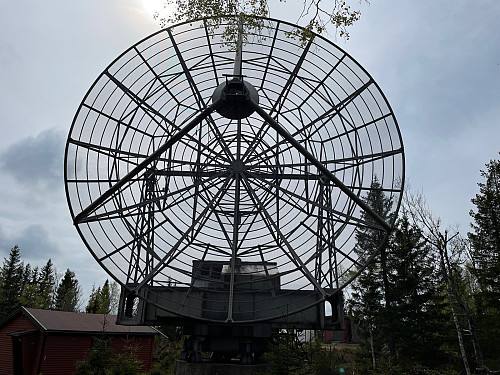 Radiohaugen