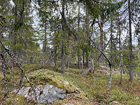 SunnivaR_20220519_62869d443ac52.jpg