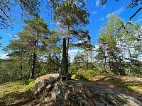 SunnivaR_20220612_62a618671be1e.jpg