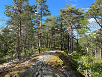 SunnivaR_20220612_62a61867dbb67.jpg