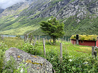 SunnivaR_20220721_62d967d6d1131.jpg