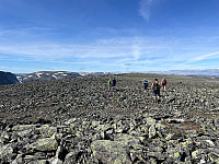 SunnivaR_20220813_62f7cf1c6e41c.jpg