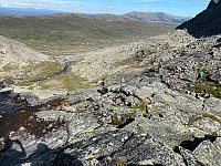 SunnivaR_20220813_62f7cf1e31c90.jpg