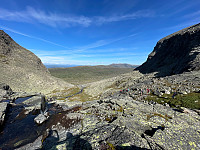 SunnivaR_20220813_62f7cf1edec7a.jpg