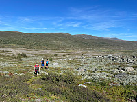 SunnivaR_20220813_62f7cf23c2857.jpg
