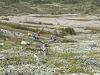 SunnivaR_20220813_62f7cf287e2a2.jpg