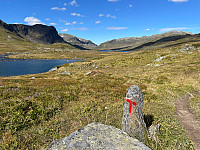SunnivaR_20220903_631367b14b4be.jpg
