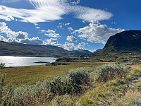 SunnivaR_20220903_631367b268d66.jpg