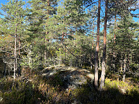 SunnivaR_20221015_634abc40e74d1.jpg