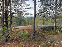 SunnivaR_20221015_634abc4239e4d.jpg
