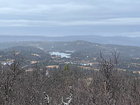 SunnivaR_20221030_635e8460d9a4d.jpg