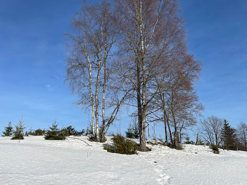 Kulpåsen rett ovenfor Øvre Lyse Gård