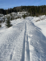 SunnivaR_20230213_63ea61c7080cc.jpg