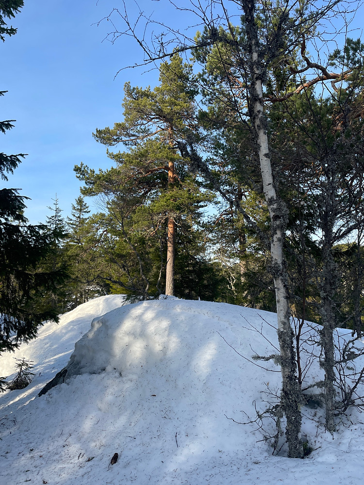 Seteråsen