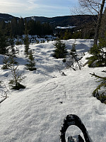SunnivaR_20230213_63ea61ce27823.jpg
