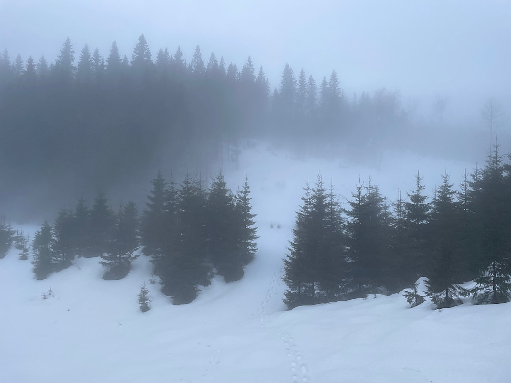 på vei ut fra Karidalsåsen