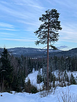 SunnivaR_20230223_63f790d4ea774.jpg