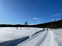 SunnivaR_20230311_640c9d3e39243.jpg