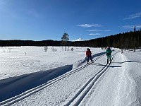SunnivaR_20230311_640c9d3eac700.jpg