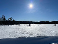 SunnivaR_20230311_640c9d3f3940e.jpg