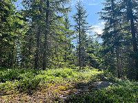 SunnivaR_20230623_6495675d0ca94.jpg