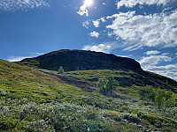 SunnivaR_20230624_649708c1e225b.jpg