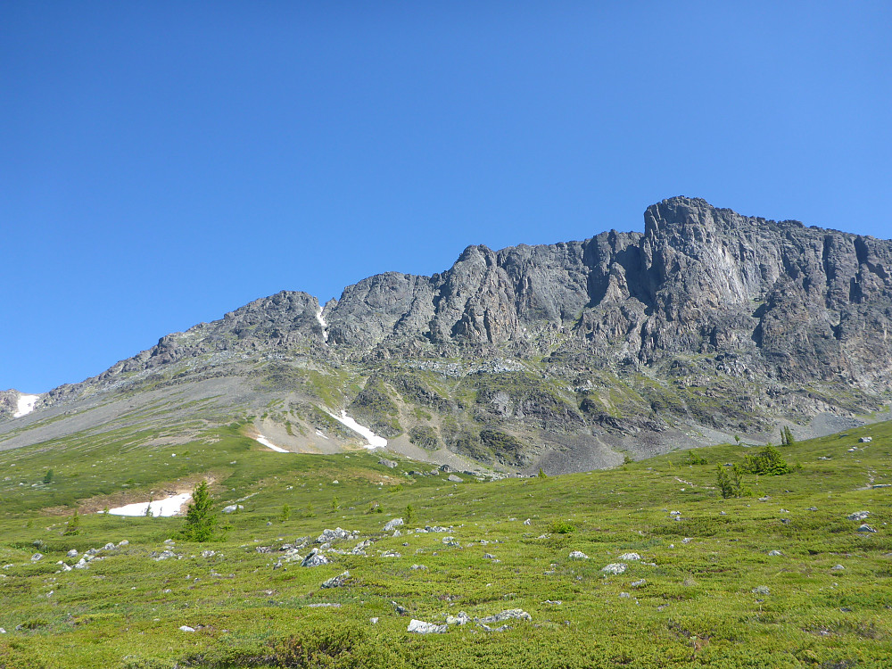 Skogshorn - Sørveggen. Ruta Overraskelsen er på pillaren rett til høyre for midten av bildet.