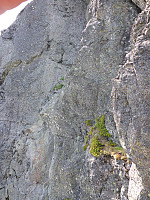 SunnivaR_20230704_64a43ae019b87.jpg