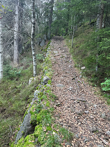 Den gamle ferdselsveien ned fra Gaupekollen