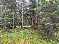 SunnivaR_20240922_66f050183482d.jpg