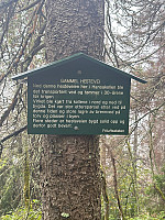 SunnivaR_20240922_66f0501b906b3.jpg