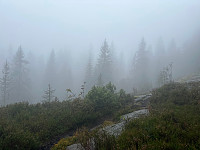 SunnivaR_20240922_66f0501cb5404.jpg