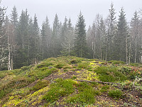 SunnivaR_20240922_66f0501e2f605.jpg