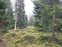 SunnivaR_20240922_66f0501f3c094.jpg