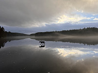 SunnivaR_20250308_67cc67e857f11.jpg